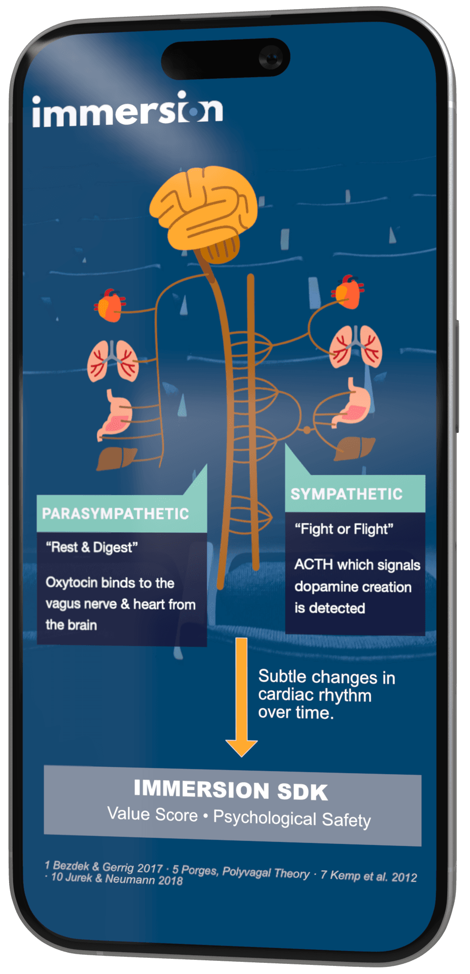 Phone screen showing how the brain reaches the heart: the parasympathetic branch carries oxytocin to the vagus nerve and heart, the sympathetic branch carries the stress response, and the Immersion SDK reads the resulting changes in cardiac rhythm as Value and Psychological Safety